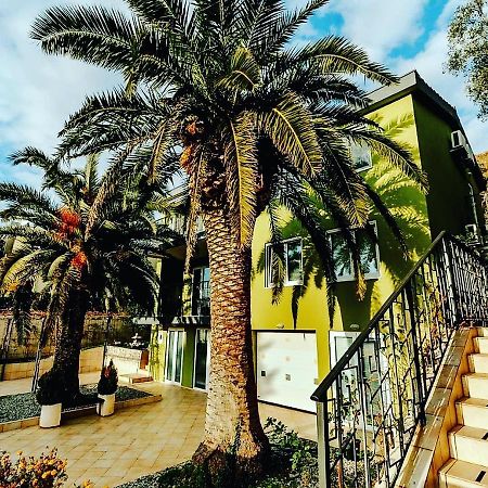 Palm Point Apartment Petrovac Eksteriør billede