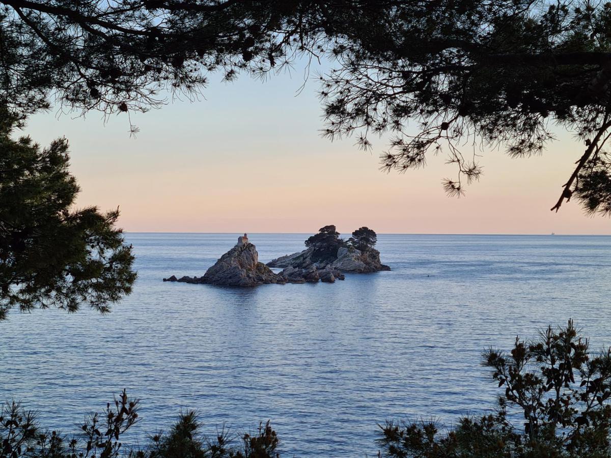 Palm Point Apartment Petrovac Eksteriør billede