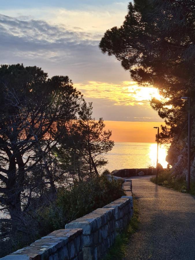 Palm Point Apartment Petrovac Eksteriør billede