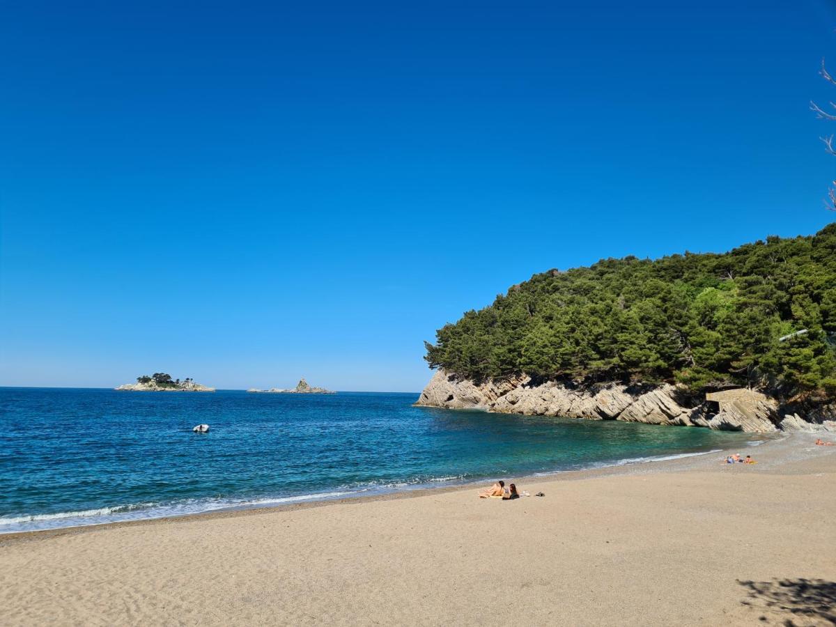 Palm Point Apartment Petrovac Eksteriør billede