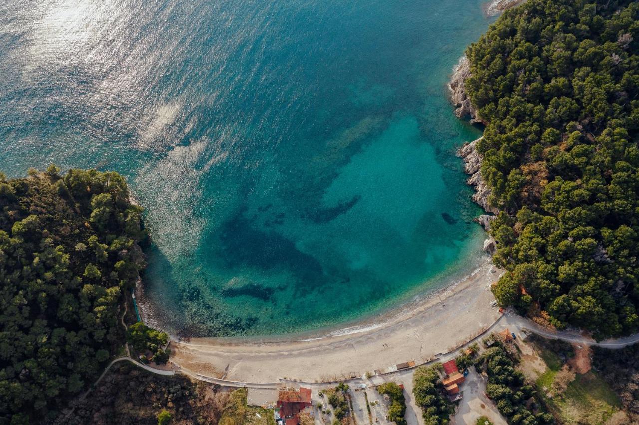 Palm Point Apartment Petrovac Eksteriør billede